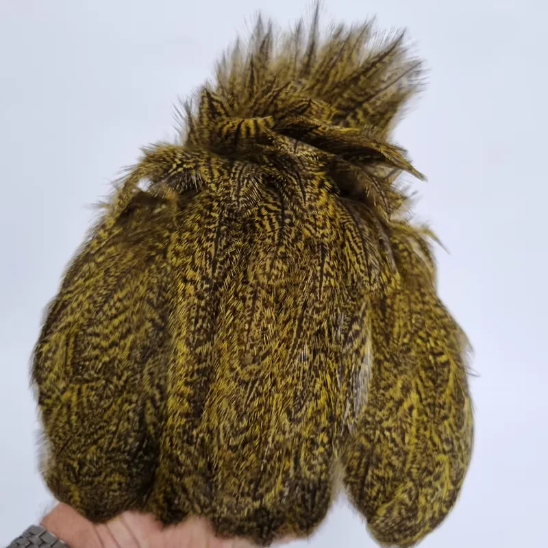 Whiting Coq de Leon Hen Cape in Speckled Yellow-8